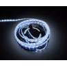 12V 5M/16ft Cool White 300LEDs SMD 5050 Led strip decorate Light waterproof Lamp