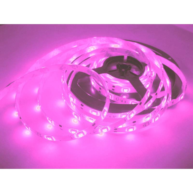 16ft Purple/Hot Pink 150leds SMD 5050 Led strip waterproof flexible Light/Lamp