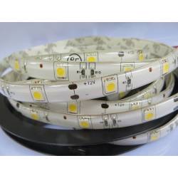 16ft Purple/Hot Pink 150leds SMD 5050 Led strip waterproof flexible Light/Lamp