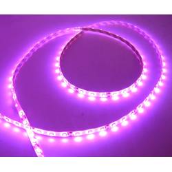 16ft Purple/Hot Pink 300leds SMD 3528 led strip Flexible waterproof light lamp